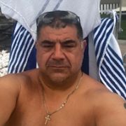 dimu_259